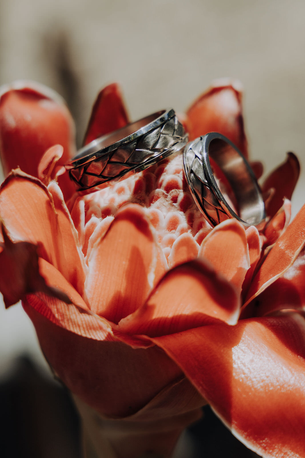 Ingrid B. L'Instant P. - photo 4